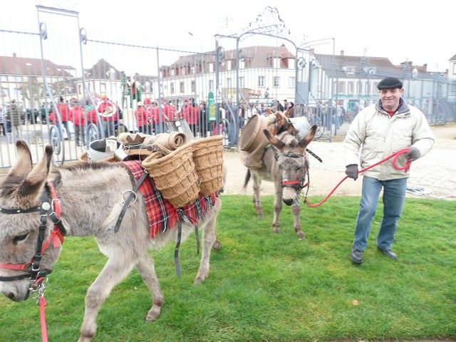 carnval 17 mars 2013 (17).jpg